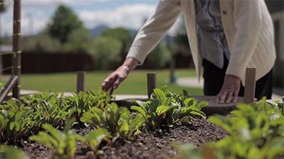 Gardening for memory care residents