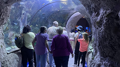 Seniors enjoy an aquarium visit
