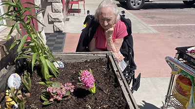 Elderly woman contemplates the universe, and a plot of spring flowers