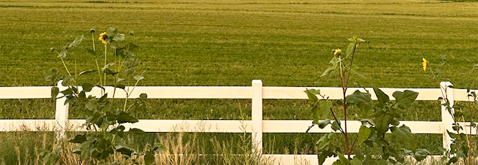 Elderly care at the BeeHive Home of Goshen