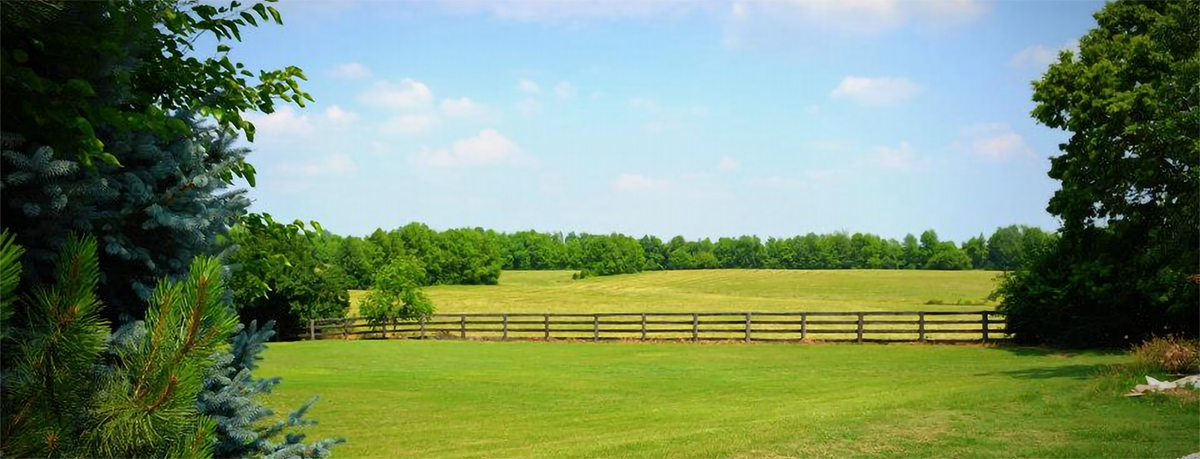 Wonderful views and country feel at the BeeHive in Goshen