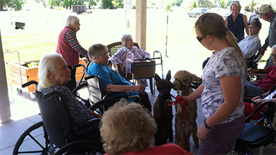 Engaging activities help improve cognitive function