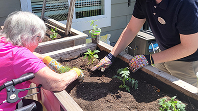 Outdoor gardening designed for the elderly