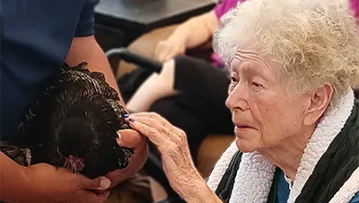 Activities that truly make a difference