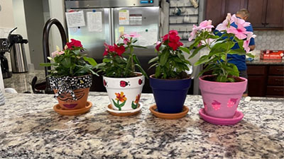 Decorative flower pots