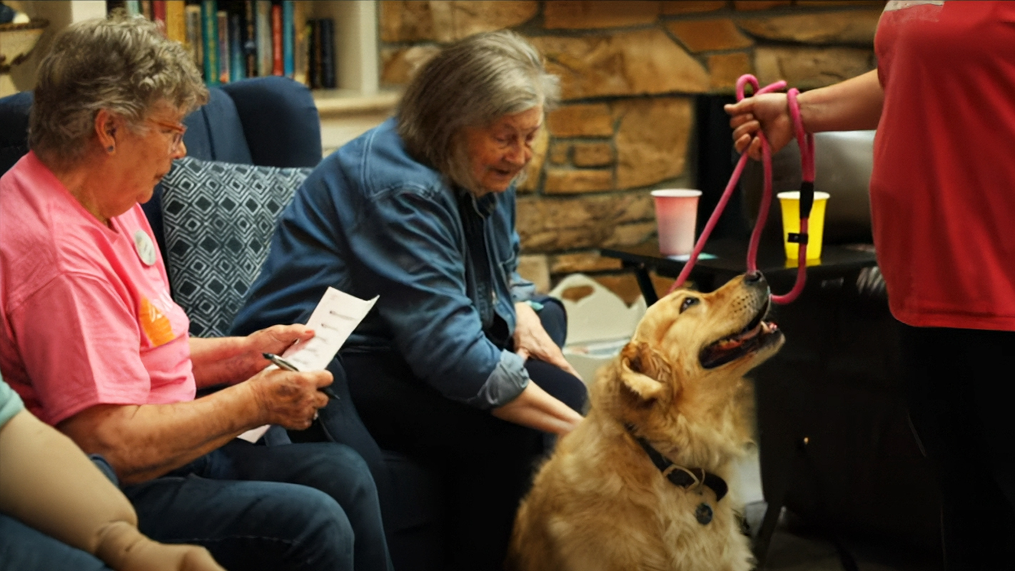 Dog Show at the BeeHive