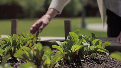 Gardening for memory care seniors